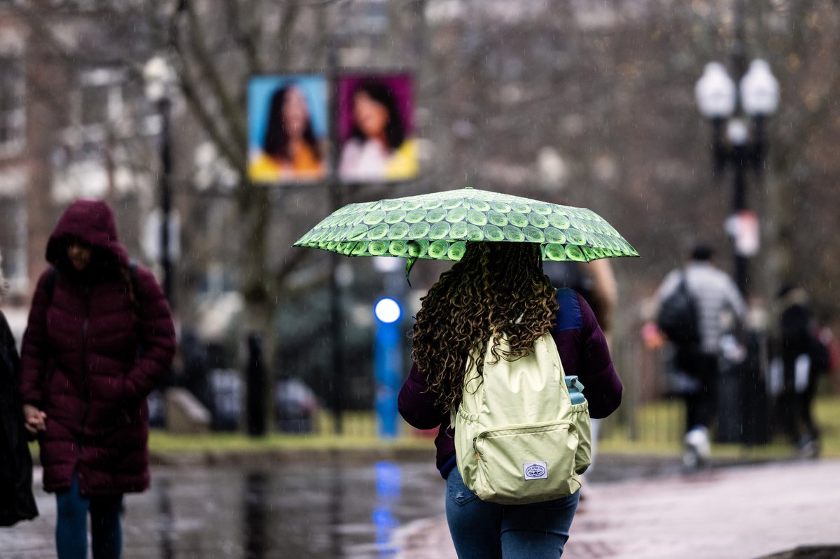 Northeastern's tweet photo. Retweet if you wish this 🌧️ was ❄️ https://t.co/oBBX22ha9U