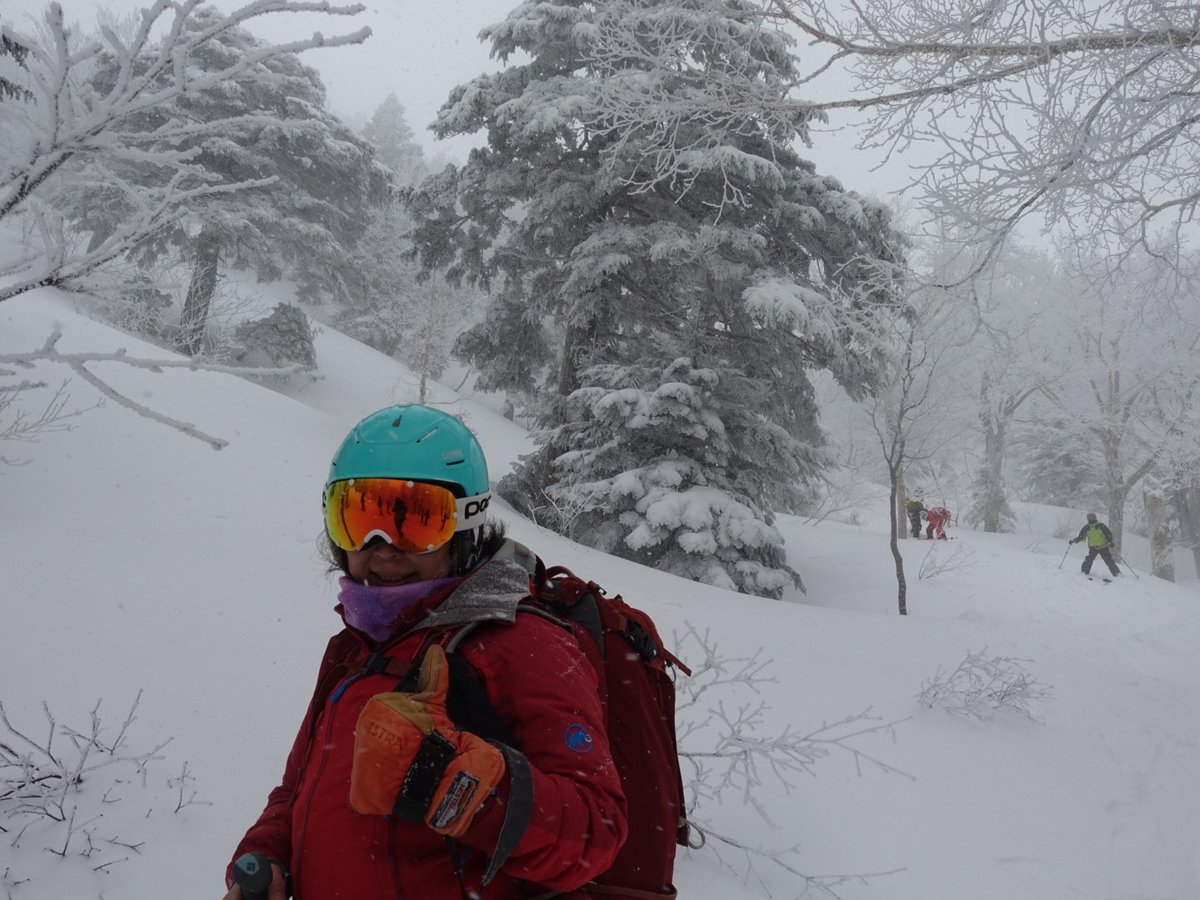 KaoruSumo's tweet photo. 前日まで降っていなかった八甲田山、滑走当日に１５cm降ってくれてパウダー体験できました！最高〰️‼️#八甲田山 #バックカントリー  #スキー https://t.co/ibvlccV3BK