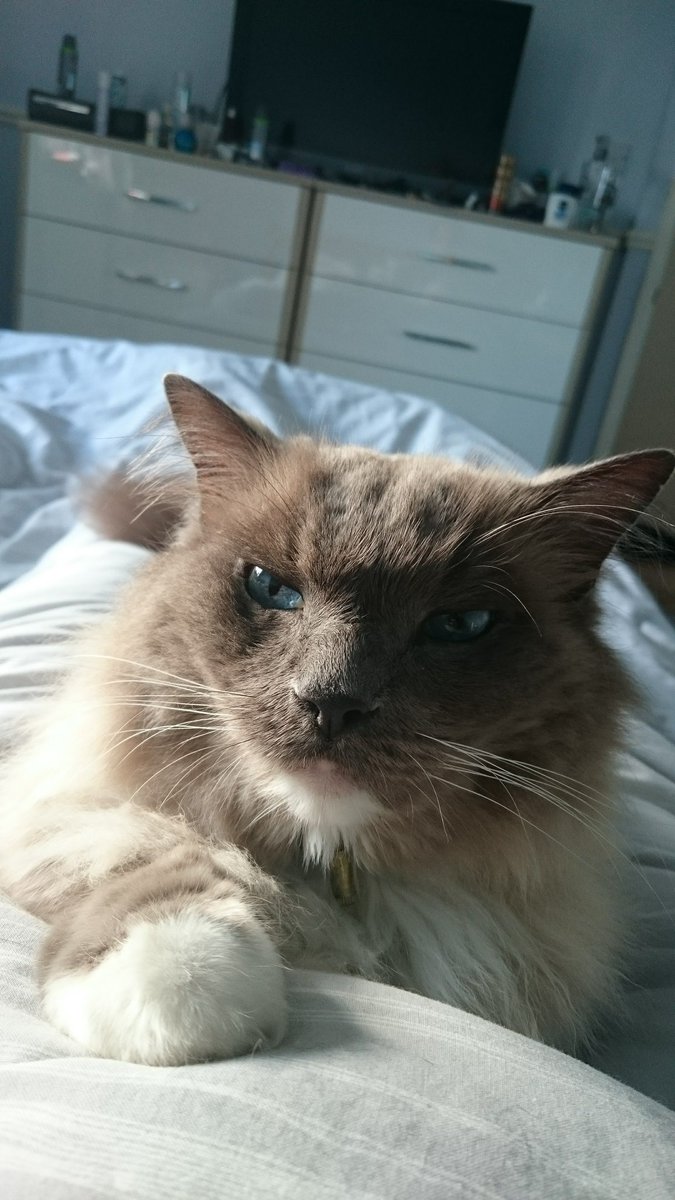 Dave 💙 tweet media