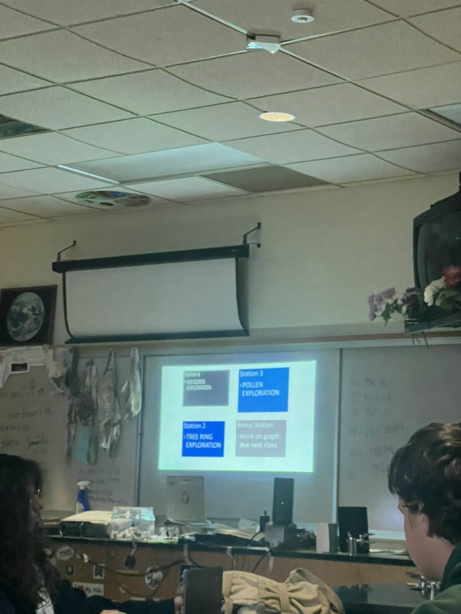 Charlene DiMino tweet media