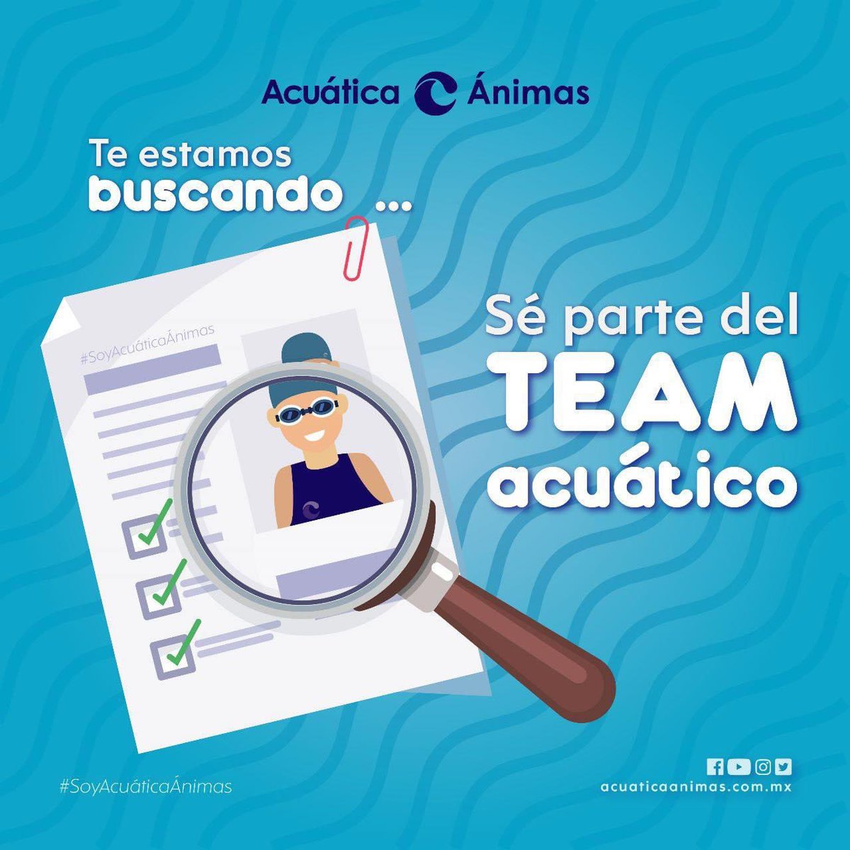AcuaticaAnimas's tweet photo. Únete al team acuático #bolsadetrabajo #acuaticaanimas #xalapa https://t.co/DeglEqK8lo