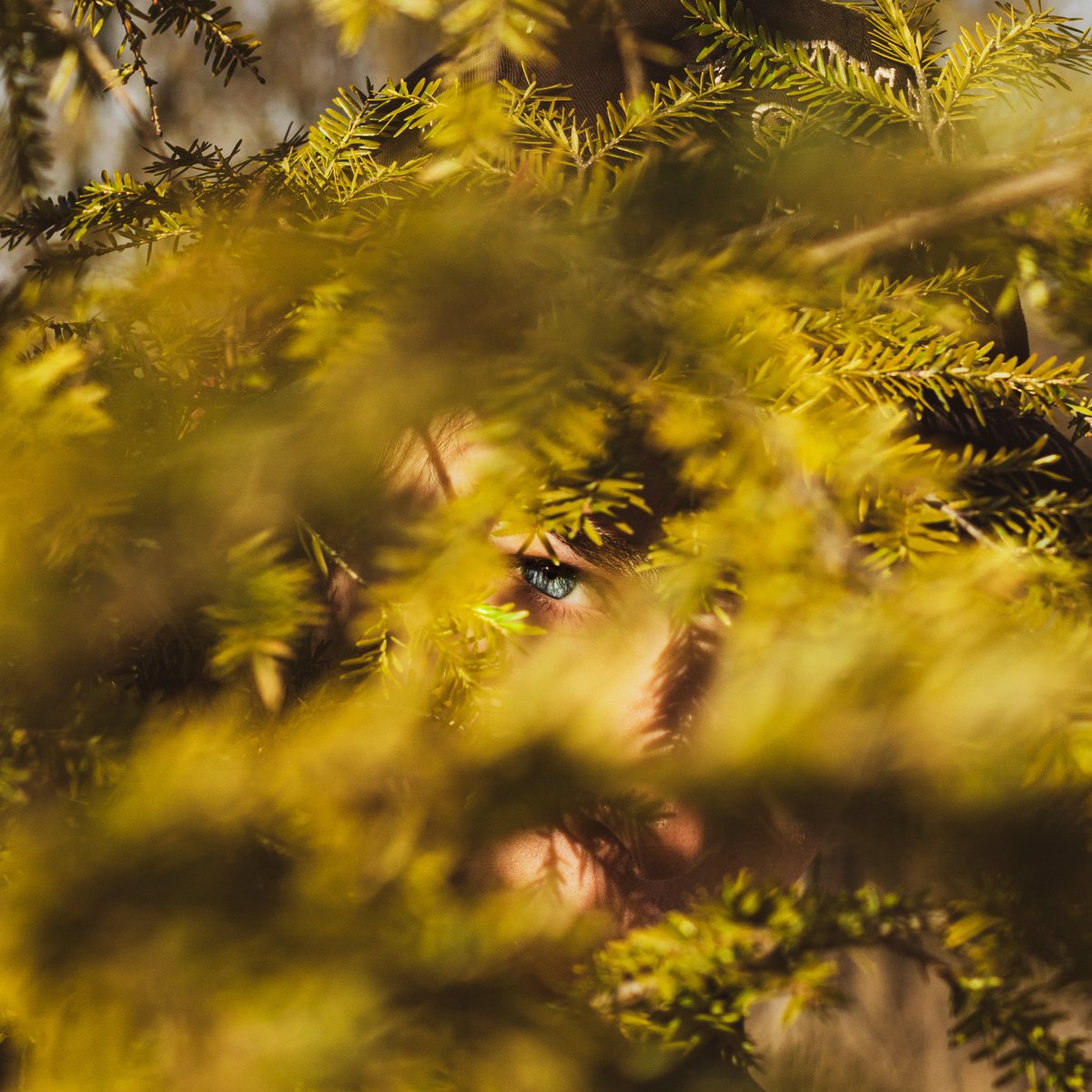 _solson's tweet image. 