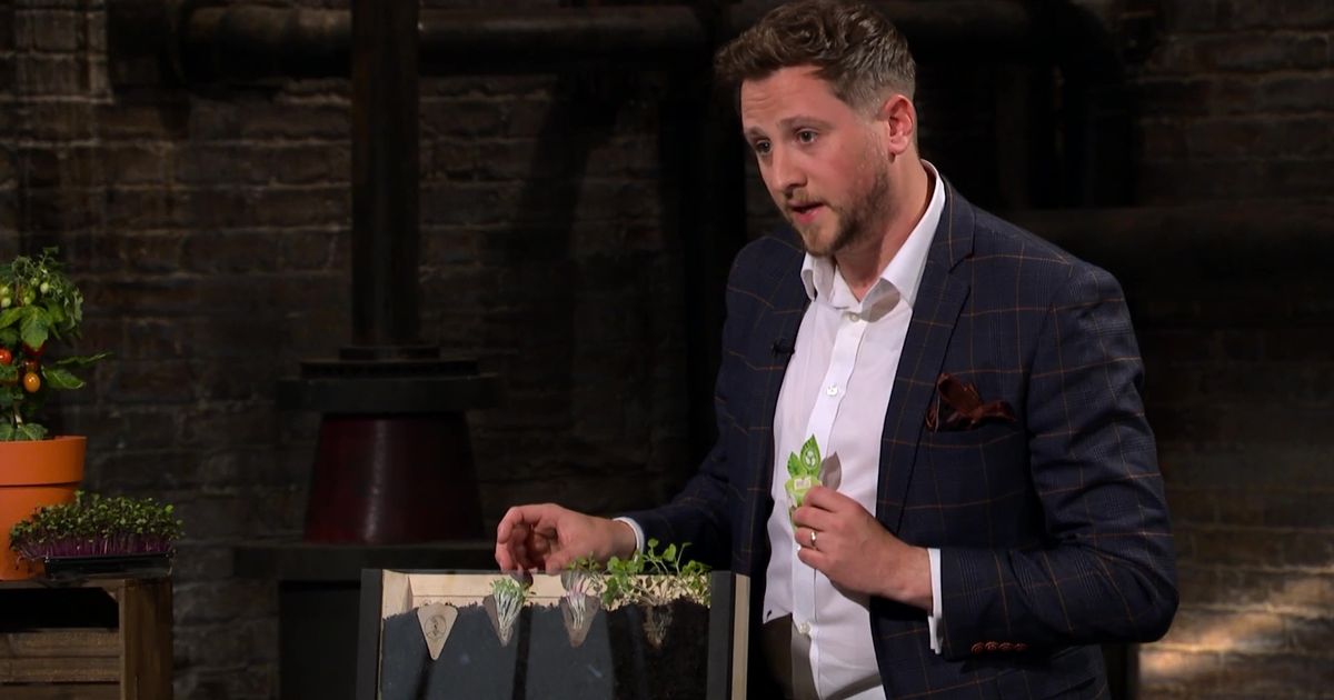 dixondigitalltd's tweet photo. North East News Dragons' Den success for Grow Sow Simple with £80,000 investment from Sara Davies https://t.co/RYm3lMI4L7 #NEFollowers - https://t.co/qNIU0CAQpZ
