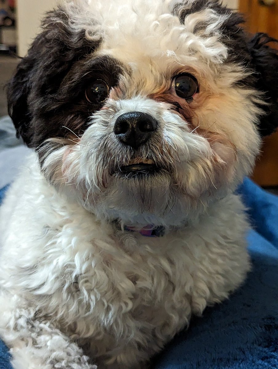Mom says I'm gorgeous whatever that means.