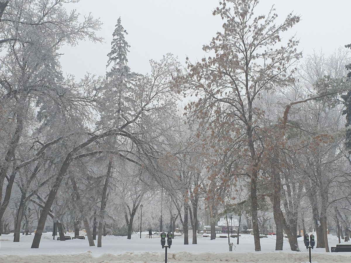 James Higgie tweet media