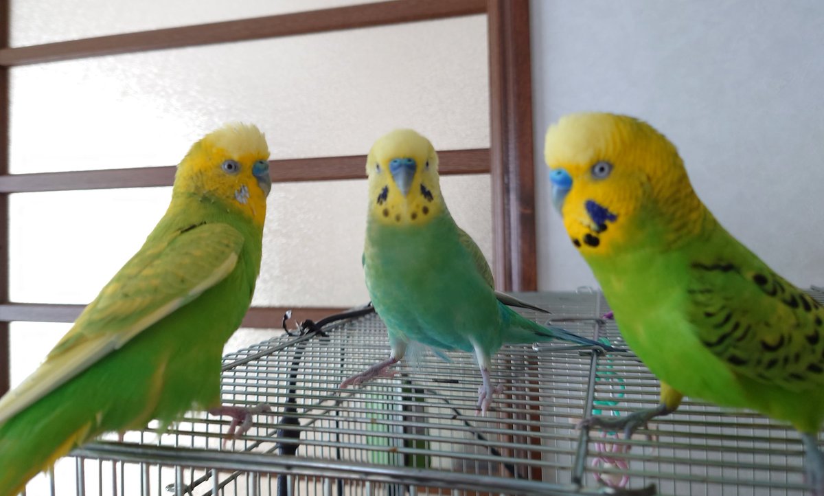 おはようございます☀