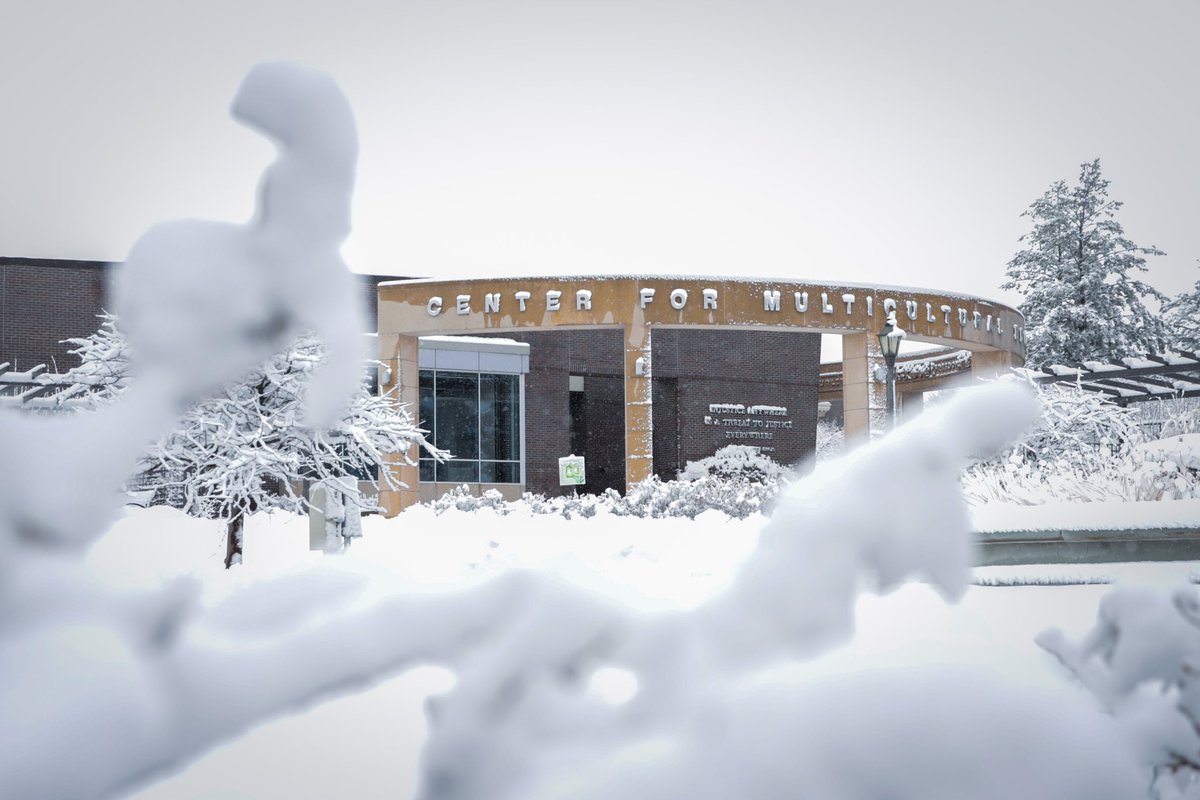 northerniowa's tweet photo. ❄️💜 https://t.co/xiJzWYarQC