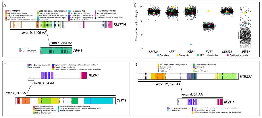 Dr Laura Eadie (@dr_mchoot) on Twitter photo ๐ฉโ๐ฌ๐First publication of 2023 for the <a href="/ALL_genomics/">Prof Deb White</a> team! A harrowing but interesting case report of KMT2Ar acute lymphoblastic leukemia.
mdpi.com/2073-4425/14/2โฆ
<a href="/JacquiRehn/">Jacqueline Rehn</a> <a href="/wessidepraxis/">Jimmy Breen</a> <a href="/LottieEJDownes/">Dr Charlotte Toomes (nรฉe Downes)</a> <a href="/sue_heatley/">Sue Heatley</a> <a href="/barb_mcclure/">Dr Barb McClure</a>
<a href="/Genes_MDPI/">Genes MDPI</a> ๐ฉโ๐ฌ๐First publication of 2023 for the <a href="/ALL_genomics/">Prof Deb White</a> team! A harrowing but interesting case report of KMT2Ar acute lymphoblastic leukemia.
mdpi.com/2073-4425/14/2โฆ
<a href="/JacquiRehn/">Jacqueline Rehn</a> <a href="/wessidepraxis/">Jimmy Breen</a> <a href="/LottieEJDownes/">Dr Charlotte Toomes (nรฉe Downes)</a> <a href="/sue_heatley/">Sue Heatley</a> <a href="/barb_mcclure/">Dr Barb McClure</a>
<a href="/Genes_MDPI/">Genes MDPI</a>