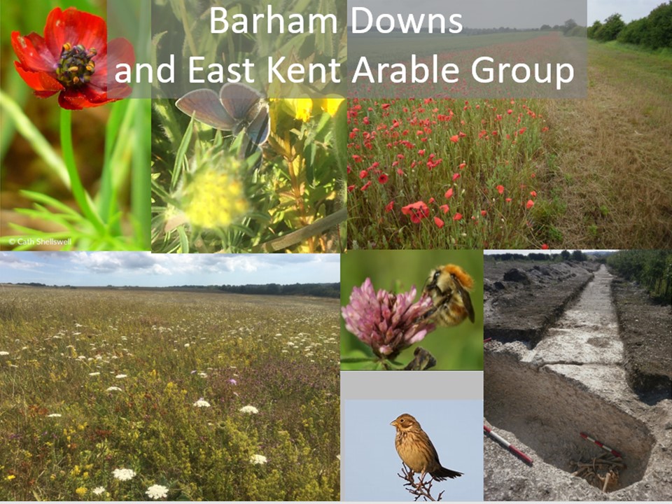 Big thanks to @NoningtonFarms for hosting a truly inspiring day for our Barham Downs/east kent cluster group.Cover crops,CSF, bird seed plots, bird surveys and hedgelaying demonstration with many thx to @MitchellRaeEnv @FWAGSouthEast & @findley_peter Farmers doing nature recov'👍