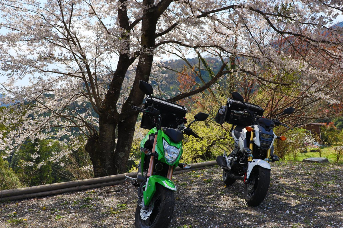 0906Z4's tweet photo. グロムとお別れ😥
キャンプツーリング楽しかった🏕
#GROM
#グロム
#ホンダ https://t.co/83N9TLhFb3