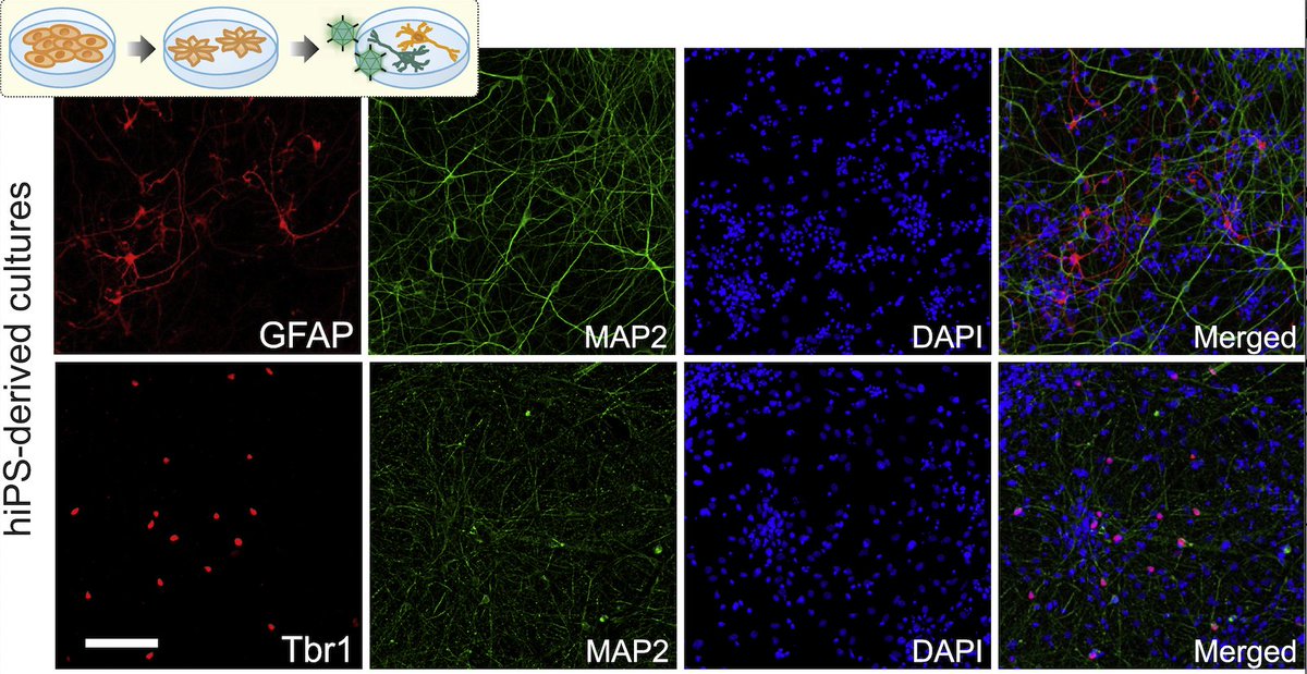 Cahan Lab | at JHMI tweet media