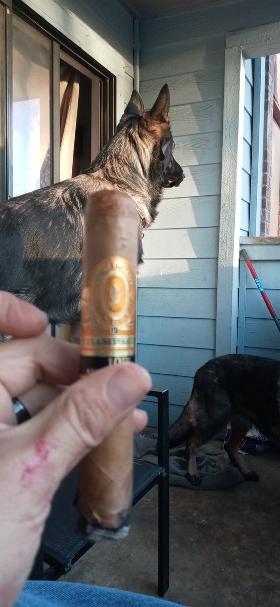 Enjoying a nice Perdomo on the back deck with my best friend in 74° weather on January 19th in San Antonio can't beat that