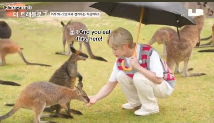 MinhoChoi_1209's tweet image. My beloved 🐰🔥
#OnHo #Onew #Minho #SHINee