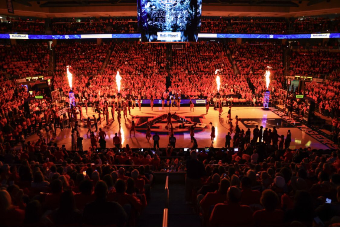 AUJungle's tweet image. FEAR THE JUNGLE 🔥! 

The nation’s longest home winning streak belongs to @AuburnMBB !!

#WarEagle