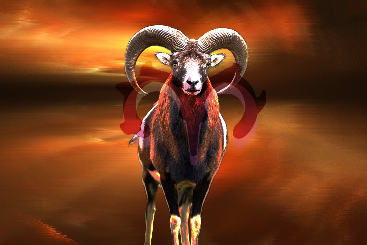 slappindesigns's tweet photo. #aries #ariesrising #zodiacchallenge #Onesignaday #slappindesigns https://t.co/JvYCdrQ9u4 https://t.co/kap4cbck5b