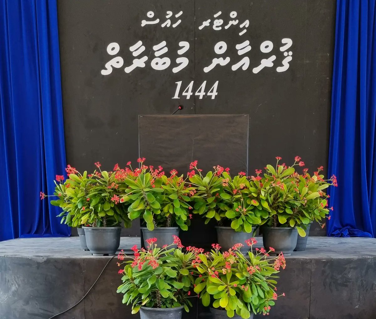GaafaruSchool's tweet photo. އިންޓަރ ހައުސް ޤުރުއާން މުބާރާތް 1444
@MoEdumv @aisthly https://t.co/jVaJ38YEB8
