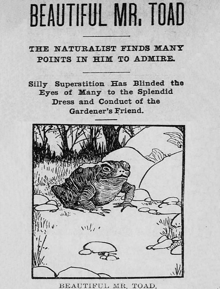 OperaBellBand's tweet image. I love Beautiful Mister Toad. His dress and conduct are indeed Splendid.