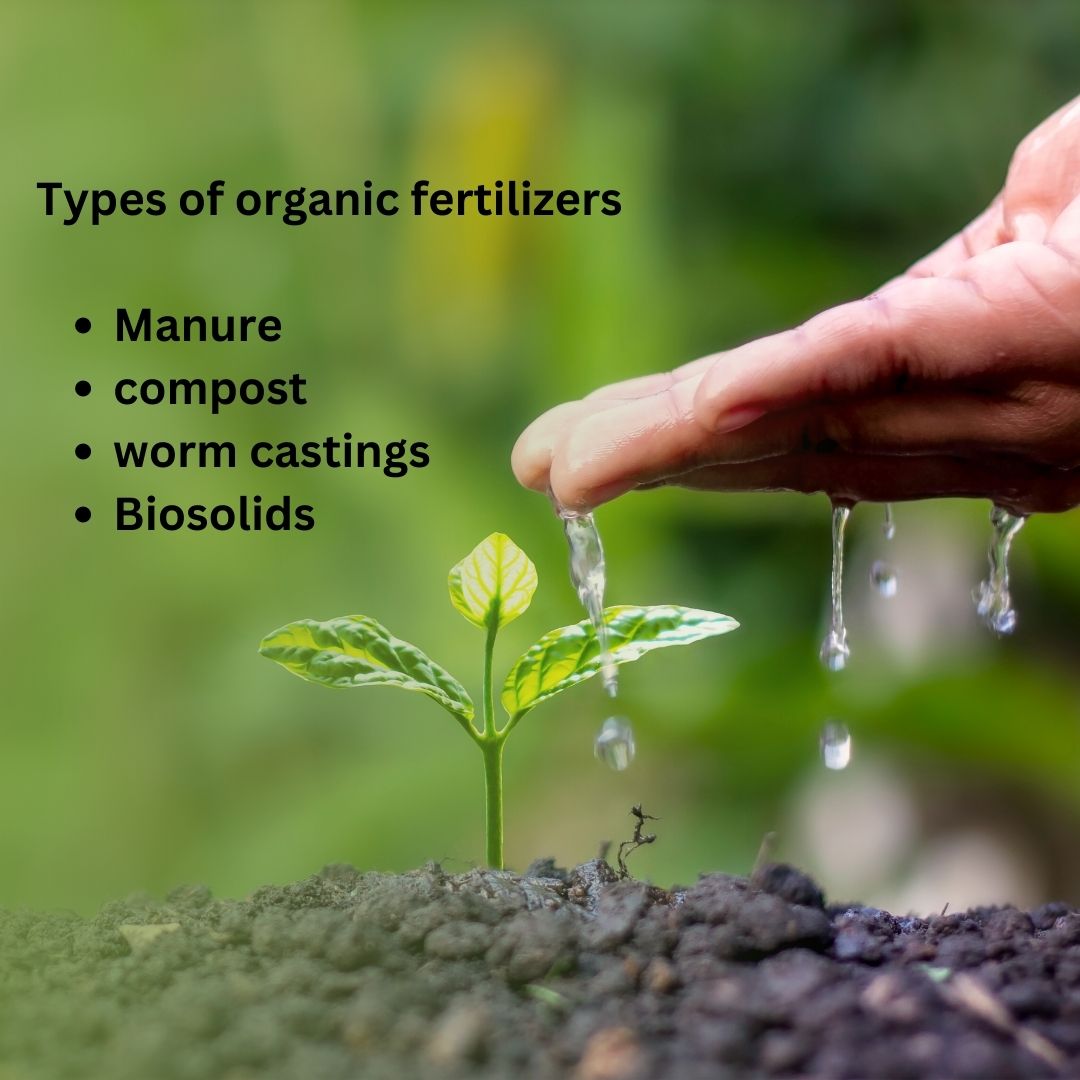 Types of organic fertilizers
.
.
.
#vashuramsinghanicase #vashuramsinghani #organicfertilizers #fertilizers #manure #biosolids