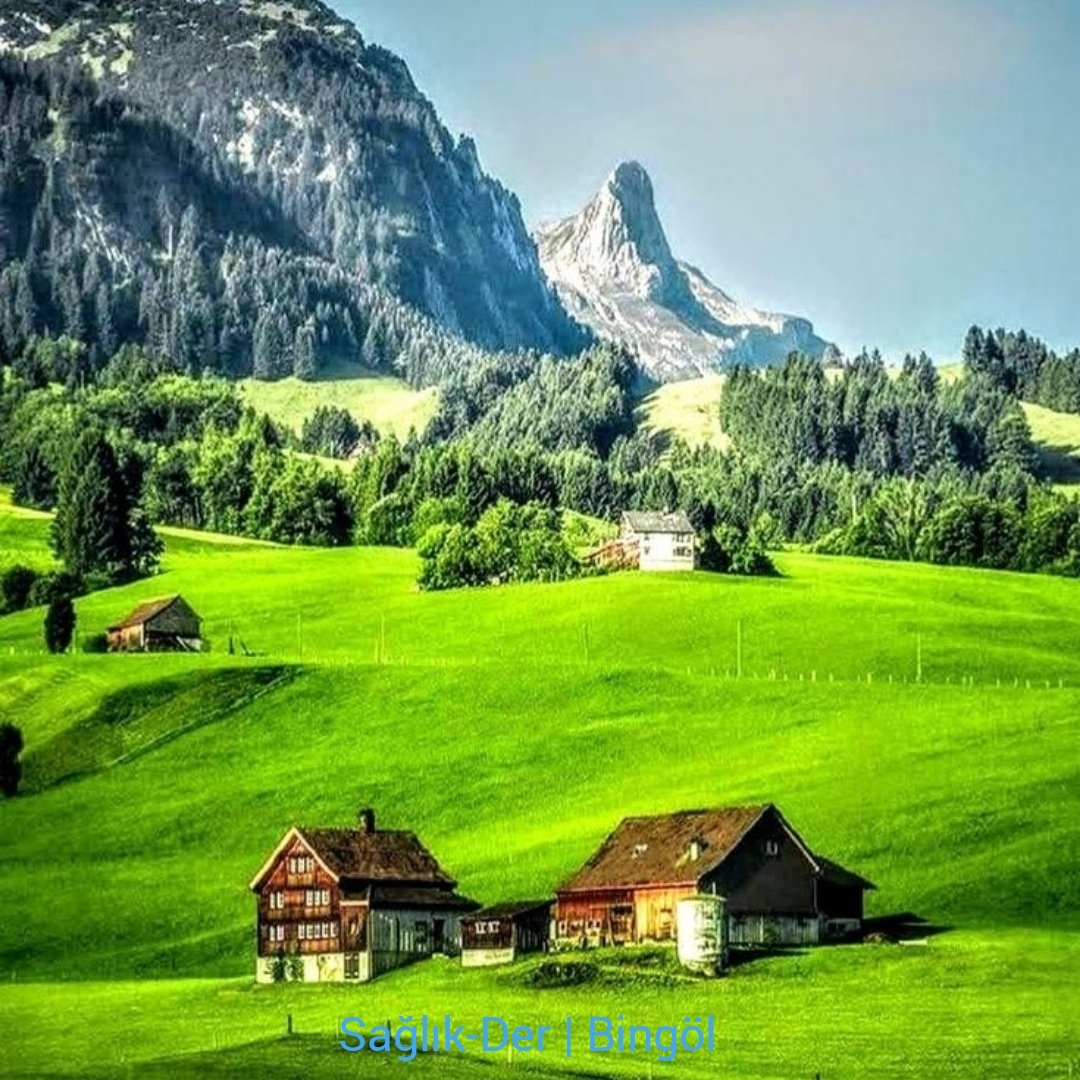 "Sizden kim de Allah’a ve resulüne itaat eder, güzel işler yaparsa ona hak ettiği karşılığı iki kere veririz, ayrıca onun için değerli bir nasip de hazırladık." (Ahzâb, 31)
Cumamız mübarek olsun.
#HayırlıCumalar