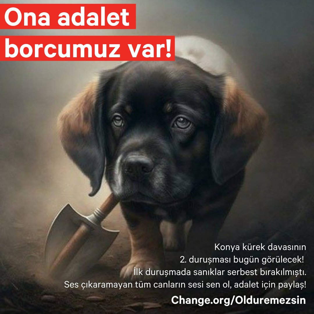 Kürekle öldürülen canı unutma!
#KonyadaKatliamVar 

Bugün duruşma günü; serbest bırakılan sanıkların tutuklanması, sadece çalışanların değil, yetkililerin de yargılanması için Serhat Okur'un yürüttüğü kampanyaya destek ol.
✍️ chng.it/RfG4F6TC