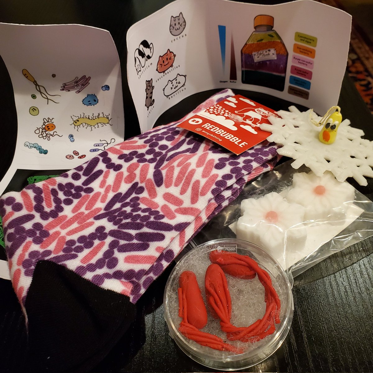 Klebsi_Ella_R's tweet photo. Shout out to my Secret Serratia for the wonderful gifts of Gram stain socks, stickers, little clay microbes (!) and nucleating P. syringiae. I feel quitw fortunate to be on the receiving end. #secretserratia @MostlyMicrobes https://t.co/wQStQ93s9Z