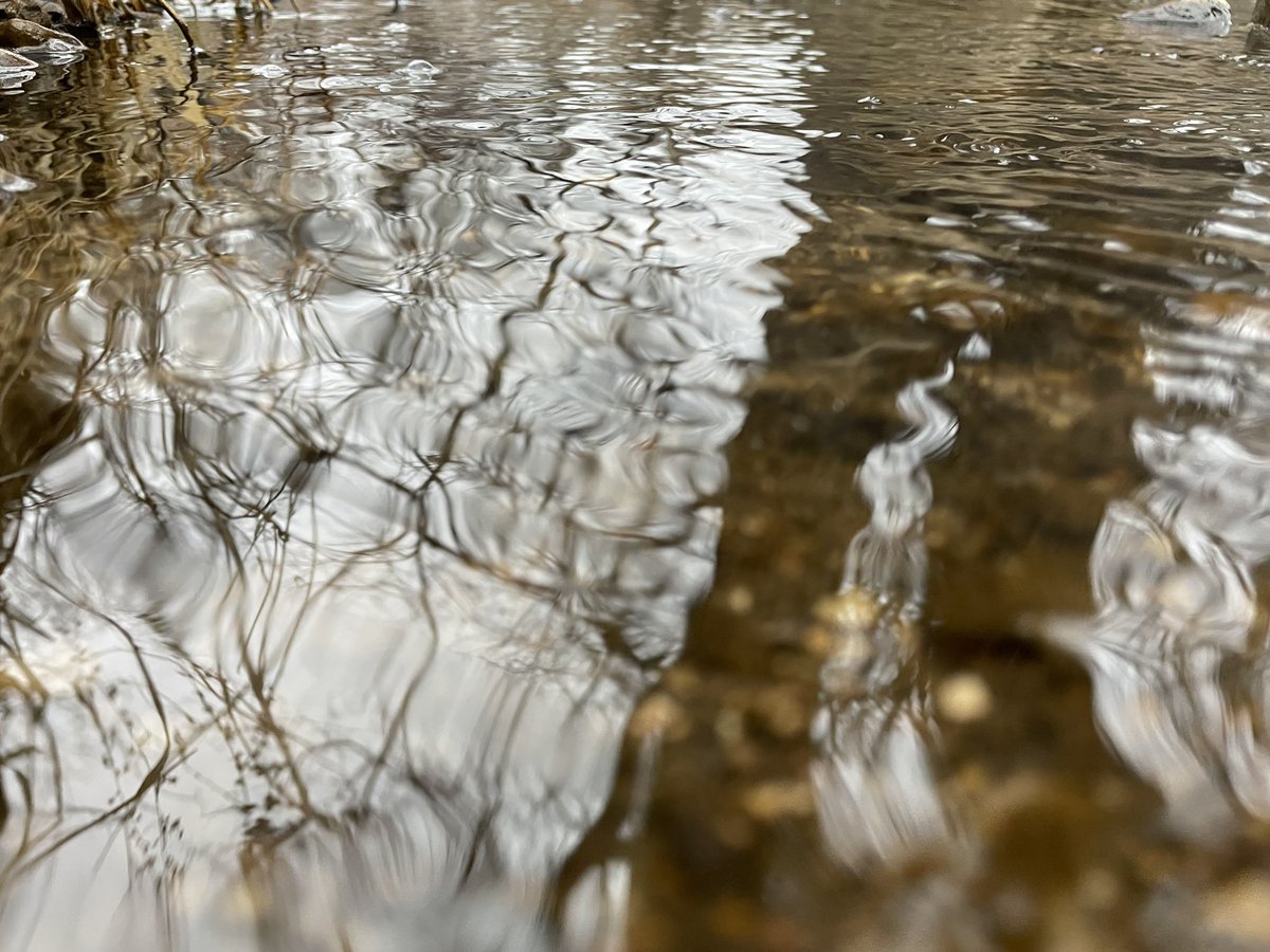 Matthew J. Kirsch Photography tweet media