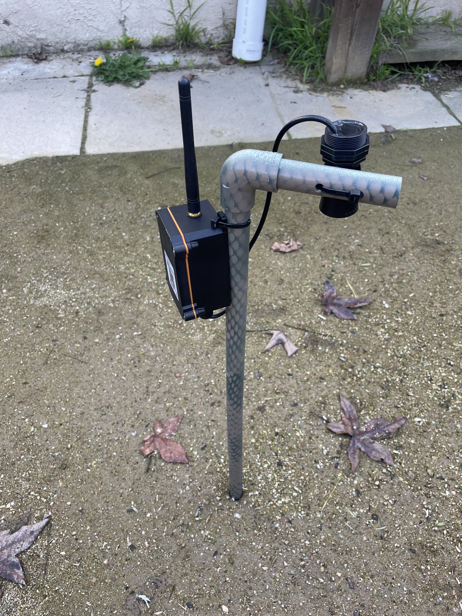 GRISTLEKING tweet media