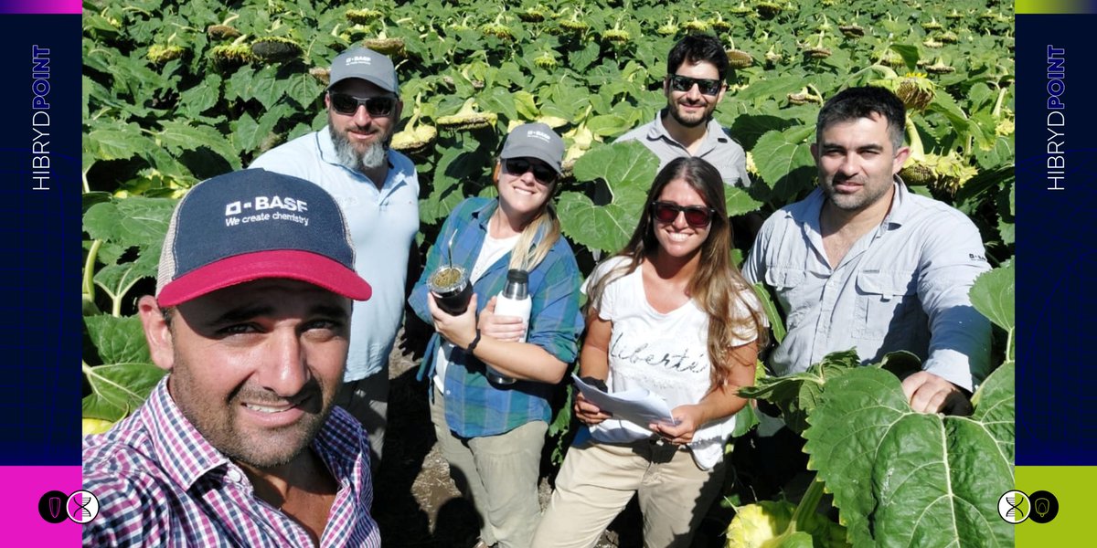 OdSagro's tweet photo. @BASF_Agro_ARG se suma al nuevo ciclo de evaluación de #RemoPoint 🌽 y #RegioPoint 🌻 en su línea Hibryd 🧬.
Así recorrimos distintas localidades del Oeste de BA donde empezamos a palpitar la info de los ensayos 😊.
#AgroDecisiones #PlanesDeSiembra https://t.co/I2s6Bsrx3G