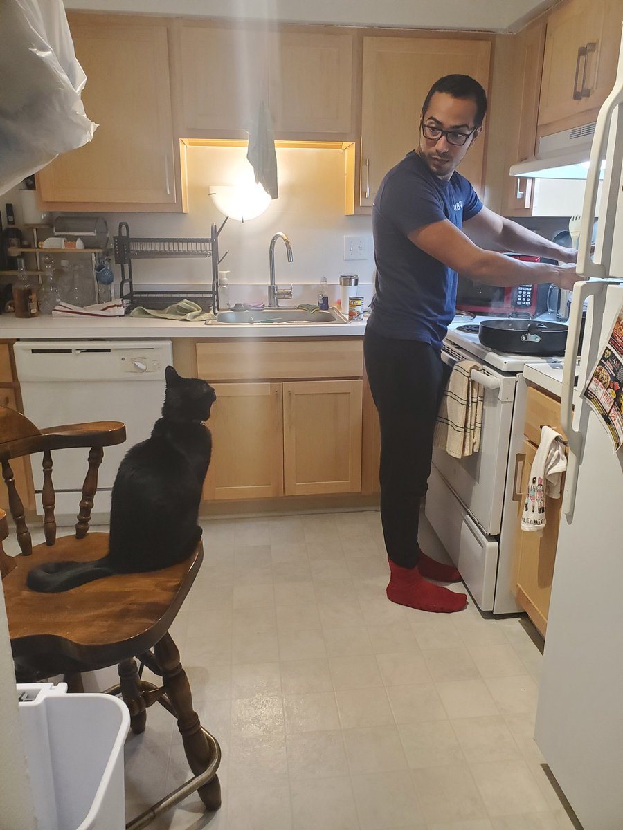 TigBittyKitty's tweet photo. I supervise real good meow #cat #CatsofTwittter #CatsOnTwitter #cats #blackcats #blackcat #housepanther #igcats #tigbittykitty https://t.co/alJ1JNRZZY