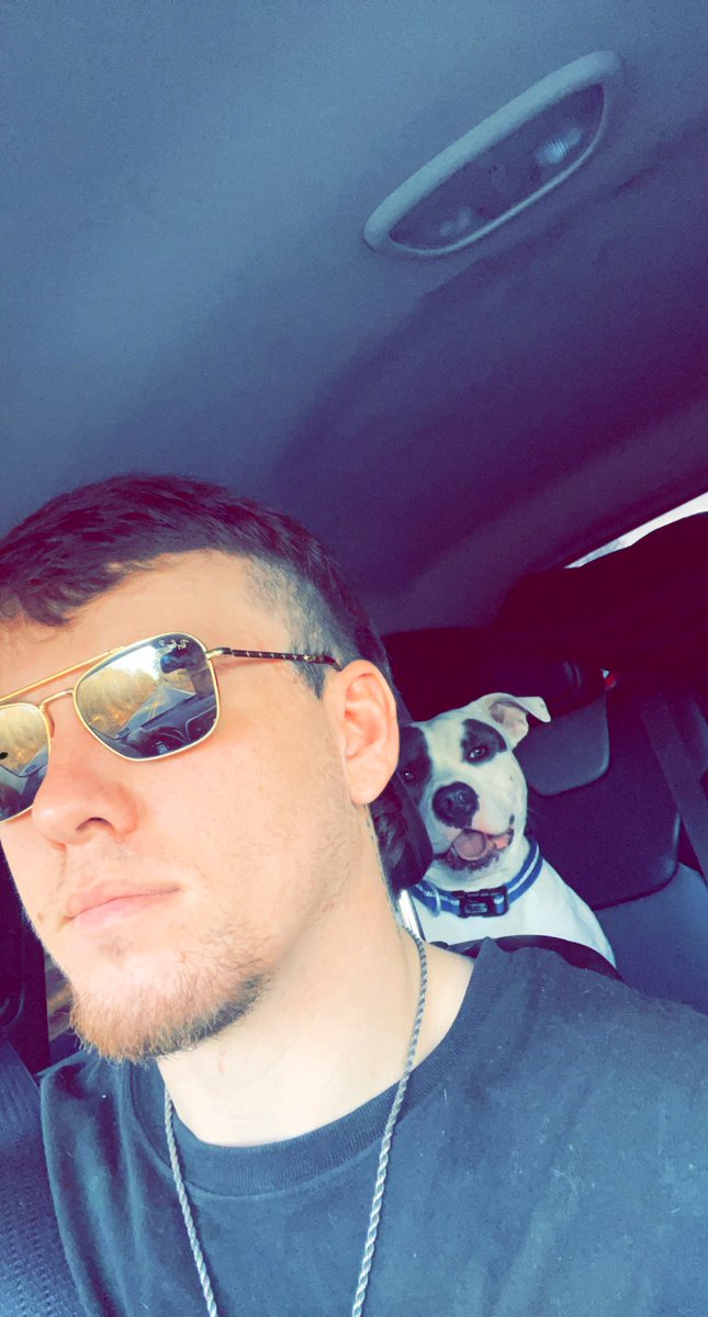 NathanielDean15's tweet photo. Hate to do it but i can’t keep Otis if anyones willing to take him https://t.co/ABou10NGNH