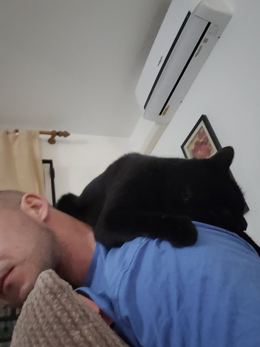 Leigh Copley (@leighcopley1) on Twitter photo 