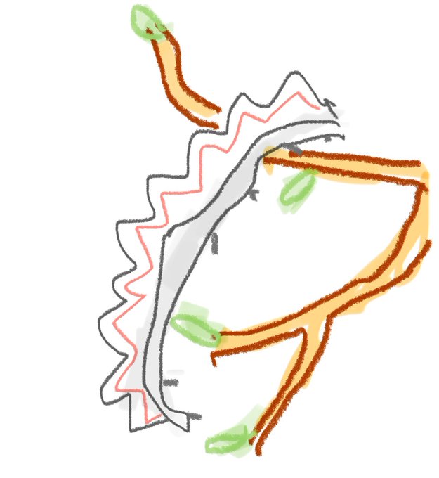 ツガルはあのカチューシャが本体でそれ以外は普通の女の子でしかない説🍎 