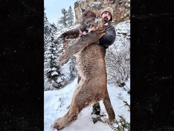 Former #NFL defensive lineman Derek Wolfe hunted and killed a massive mountain lion that was accused of terrorizing a city in Colorado this week, via @TMZ