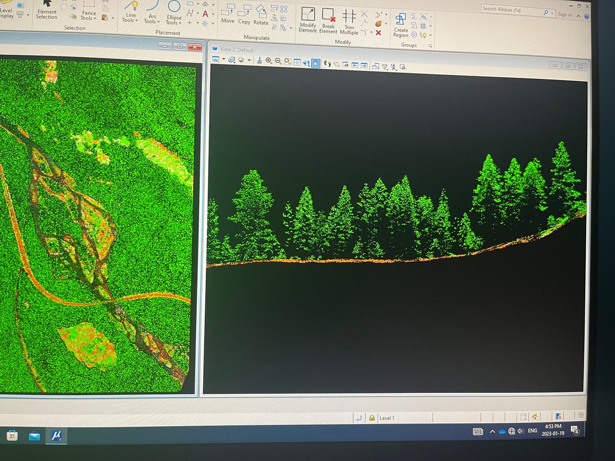 Finding the most beautiful tree is not a part of this project but here I am an hour later, still searching…  #lidar #firefuels #terrascan #remotesensing