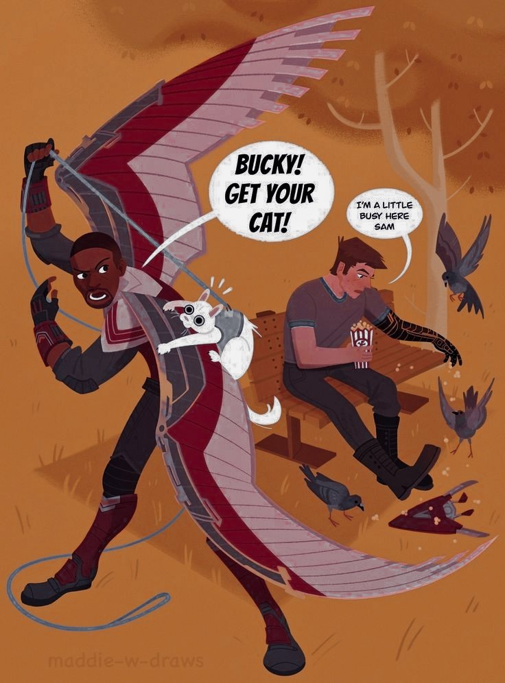 ︎
  ︎

︎                     ʏᴏᴜʀ ᴄᴀᴛ, 𝕭𝘂𝗰𝗸𝘆 ᎐ᐟㅤㅤ