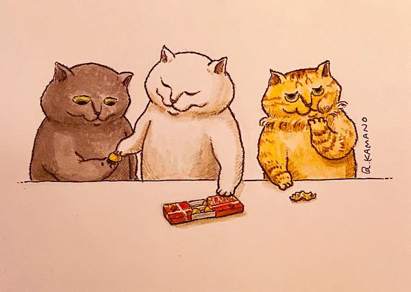 寒い日ほど、チョコレートが美味しいです#猫 