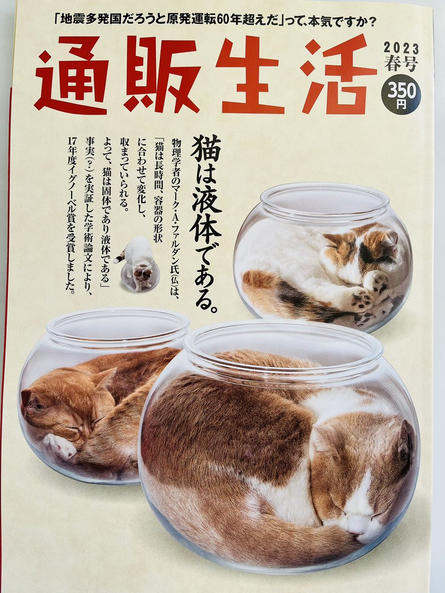 ずっと尊敬している「通販生活」
ホットカーペット、空気清浄機、毛布などなど いろいろ買って それぞれ十年以上愛用しました
中村哲さんの特集は何度も読み返しました
その通販生活が、夜廻り猫を掲載してくださってます
大変嬉しいです。
#通販生活 #夜廻り猫