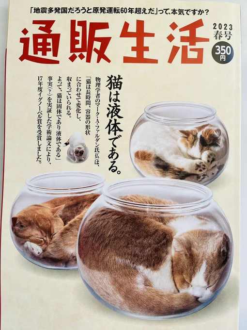 ずっと尊敬している「通販生活」

ホットカーペット、空気清浄機、毛布などなど いろいろ買って それぞれ十年以上愛用しました
中村哲さんの特集は何度も読み返しました
その通販生活が、夜廻り猫を掲載してくださってます
大変嬉しいです。

#通販生活 #夜廻り猫 
