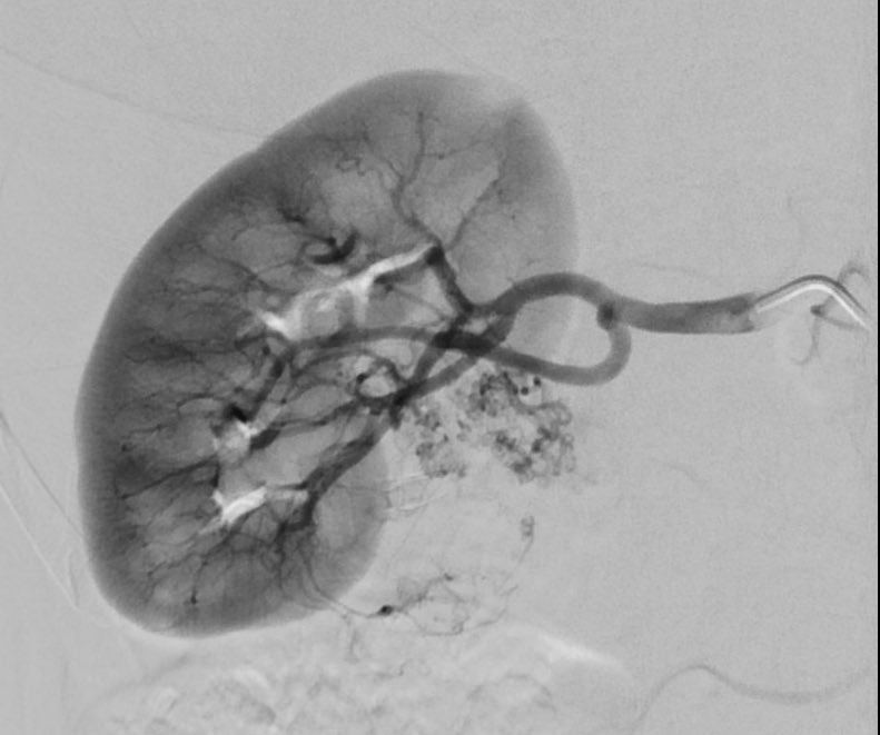 David Léon MD tweet media