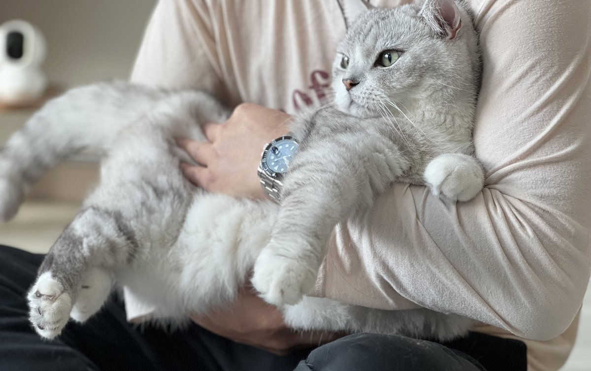 털이 빠지든 말든 하루에도 몇번씩 저렇게 안고 보리 헤헤할까 하며 둥기둥기를 하는데 보리도 그게 막 싫진 않은지 귀찮아 귀찮아 하면서도 애인이 놀러오면 또 딱 붙어 있고 그런다. 나름 둘이 좋아 보이네. 잘 지내나봐.