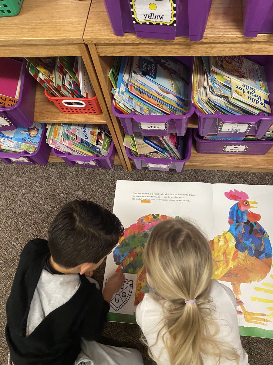 WeinkeLara's tweet image. We love using our vowel shields to find vowels in big books! #kindervibes @HospElementary