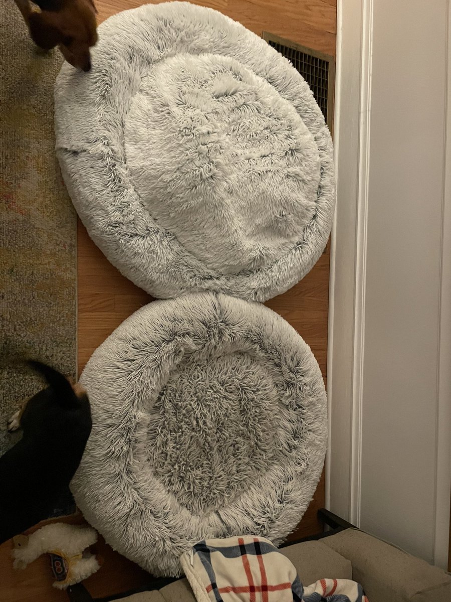 dieboldemily's tweet photo. @BFbySheri did something change in the way the beds are made? Our bed from 2020 (pictured in the doorway and the darker one in the side by side) is till amazing. But the one we bought this month (by the white cabinets) is…flat and meh https://t.co/tX2JsVsJHD