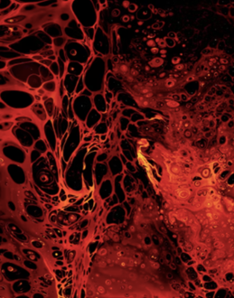 Congratulations Cecile Mandon for winning the naming competition for our special IAVCEI batch of volcano gin!

“The Volcanologist” &amp; locally brewed non-alcoholic beverages will be available to try at the #IAVCEI2023 icebreaker. 

Made in collaboration with NZ brewer Elsewhere Gin