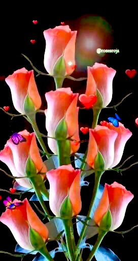 “(O Allah) Sizin içinizi de bilir, dışınızı da, (iyi kötü, gizli aşikâr) her ne kazanıyorsanız onu da bilir.”                                 (En’am  Sûresi, 3)

HAYIRLI ve NURLU CUMA’LAR…