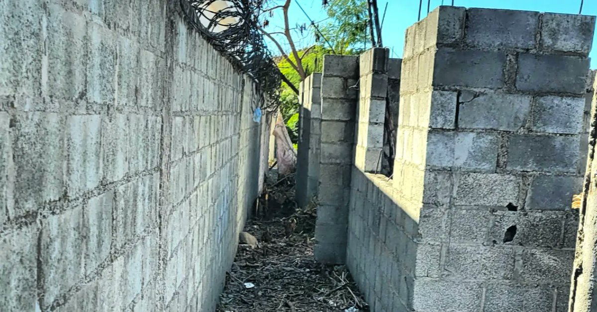 Impacto_Publici's tweet photo. Se vende mejora en la urbanización Los Agronomos, inf. 809-370-5409 con título, construcción a nivel de plato, sitio cómodo y lugar tranquilo, al lado de @funbazua 
.
.
#venta #solares #mejoras #casas https://t.co/pRNX8EBxSj