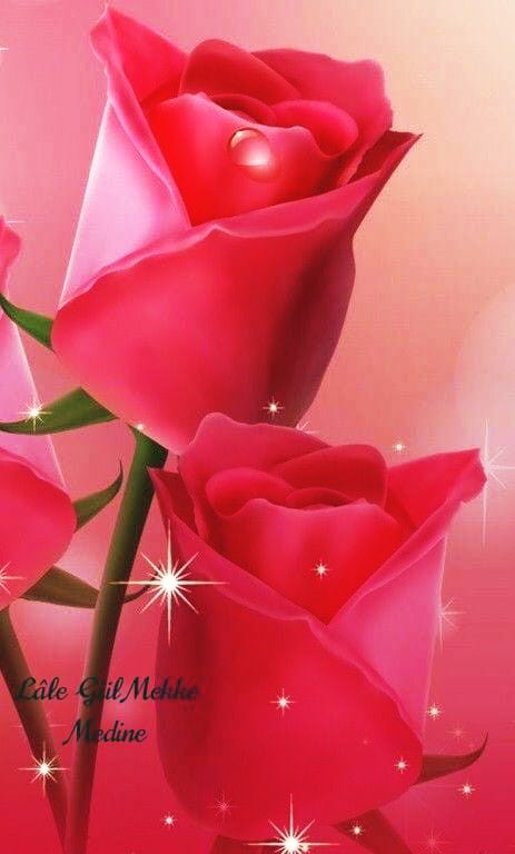 Şüphe yok ki; namaz, hayâsızlıklardan ve uygunsuzluktan yaramaz şeylerden nehyeder.”

(Ankebut Sûresi, 45)

HAYIRLI ve NURLU CUMA’LAR…