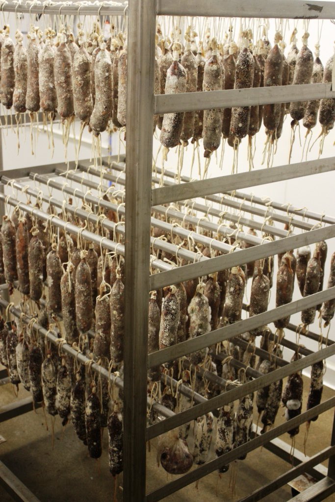 SmokingGoose's tweet image. when we say a rack of elk, we’re not talking antlers #RackEmUp #AgingRoom #HangTime #OldWorldCraft #NewWorldFlavor 

Check out Free Shipping options and walk-in shopping hours at shop.smokinggoose.com