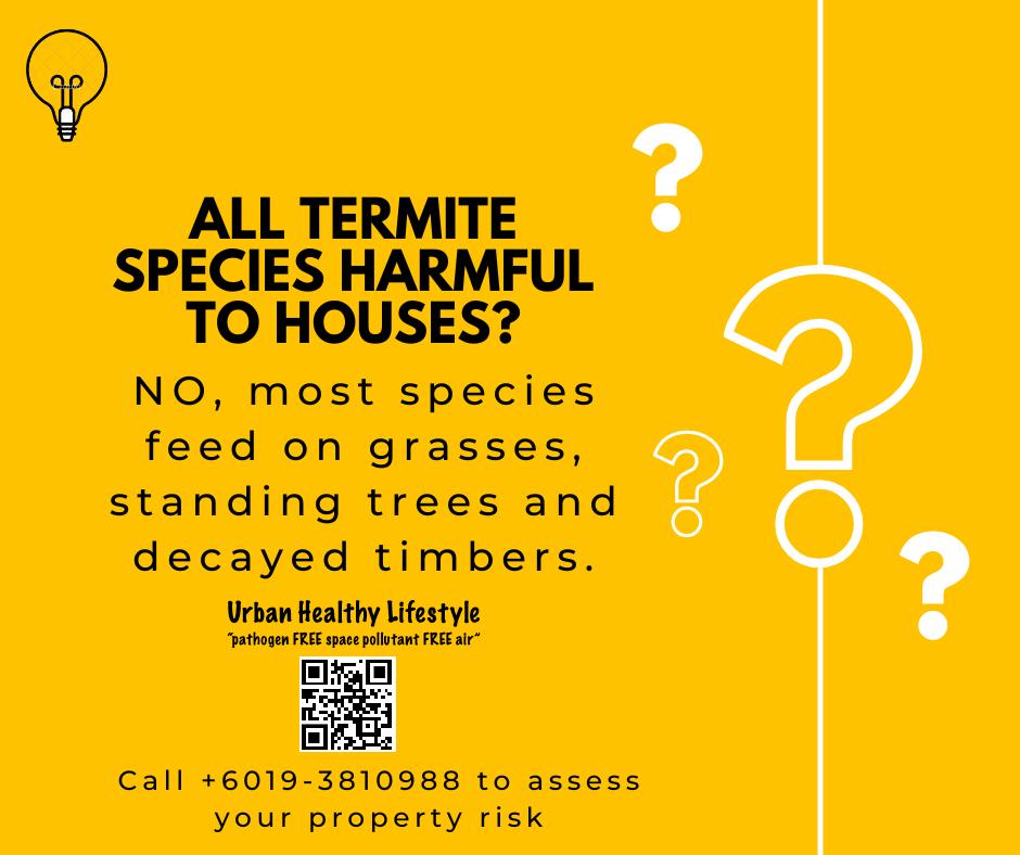 4UrbanLifeStyle's tweet photo. Are All Termite Species Harmful To Houses?
NO. Many species of termites feed on grasses, standing trees, and decayed timbers. Part of the ecosystem, in nature termites' role is to recycle important nutrients. Only about a dozen species cause significant damage to structures. https://t.co/uB4kQNpR63