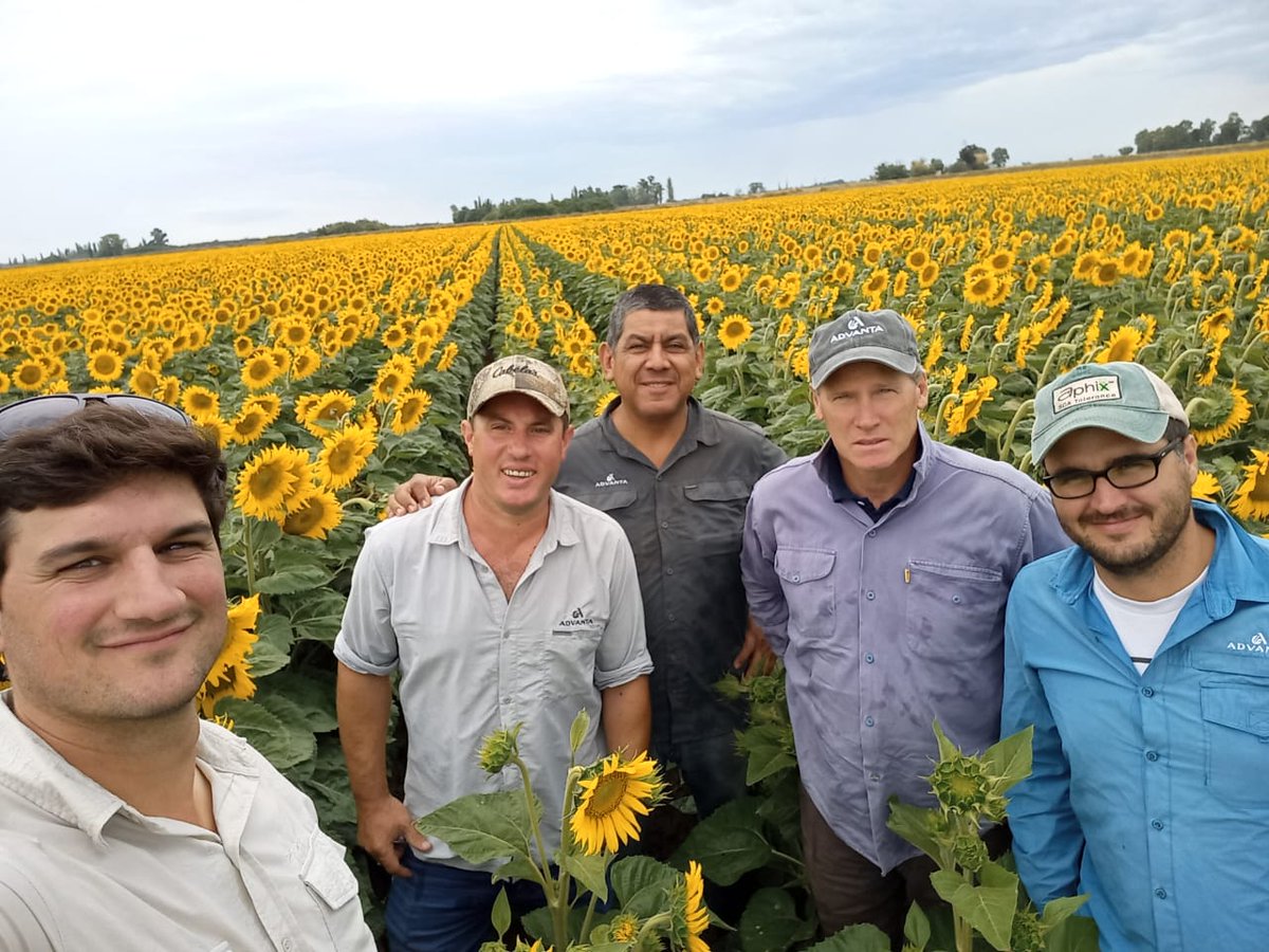 Aldo MartBlack (@aldomartblack) on Twitter photo Tour de girasol en Pedro Luro y Pigué con el equipo de Supply de <a href="/advantaseedsarg/">Advanta Semillas Arg</a>..también lotes de producción de maíz en Cnel Suárez, un lujo el manejo de los lotes. Gracias por la invitación Franco, Martin, Oqui <a href="/glgaudino/">Germán Gaudino</a> ! Tour de girasol en Pedro Luro y Pigué con el equipo de Supply de <a href="/advantaseedsarg/">Advanta Semillas Arg</a>..también lotes de producción de maíz en Cnel Suárez, un lujo el manejo de los lotes. Gracias por la invitación Franco, Martin, Oqui <a href="/glgaudino/">Germán Gaudino</a> !