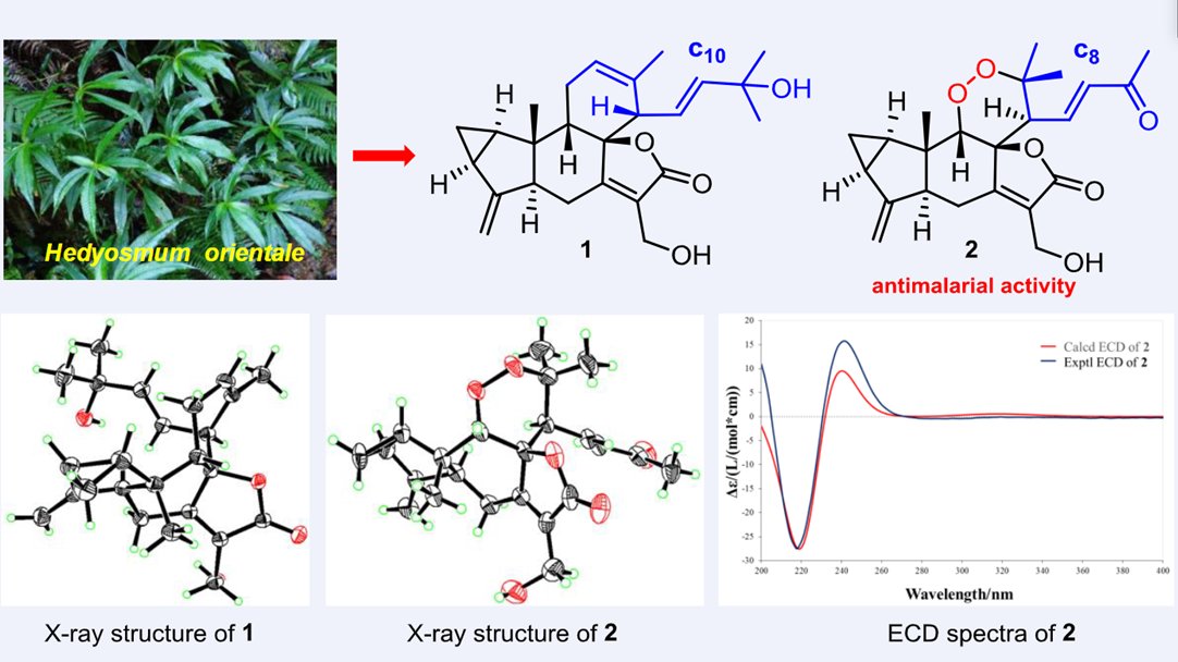 Elva Hu (@elvahupin) on Twitter photo Two Terpenoid Derivatives with Different 3/5/6/6/5-Fused Pentacyclic Skeletons from Hedyosmum orientale
<a href="/Wiley_Chemistry/">Wiley Chemistry</a> <a href="/wileyinresearch/">Wiley in research</a> @WileyEngineer <a href="/wileyeng/">wileyengineering</a> <a href="/isciverse/">Top Science</a> <a href="/Innov_Materials/">The Innovation Materials</a> <a href="/InnovationChem/">The Innovation | Chemistry</a> @CHNSci <a href="/NatProducts/">Natural Products News & Natural Beauty News</a>
doi.org/10.1002/cjoc.2… Two Terpenoid Derivatives with Different 3/5/6/6/5-Fused Pentacyclic Skeletons from Hedyosmum orientale
<a href="/Wiley_Chemistry/">Wiley Chemistry</a> <a href="/wileyinresearch/">Wiley in research</a> @WileyEngineer <a href="/wileyeng/">wileyengineering</a> <a href="/isciverse/">Top Science</a> <a href="/Innov_Materials/">The Innovation Materials</a> <a href="/InnovationChem/">The Innovation | Chemistry</a> @CHNSci <a href="/NatProducts/">Natural Products News & Natural Beauty News</a>
doi.org/10.1002/cjoc.2…